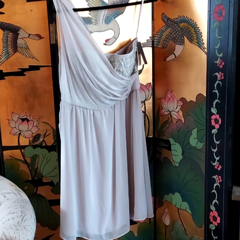 Party Dress - Champagne color size 12